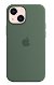 Apple Silicone Case with MagSafe for iPhone 13 Mini - Eucalyptus